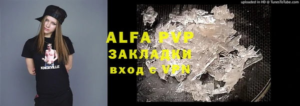мет Алексин