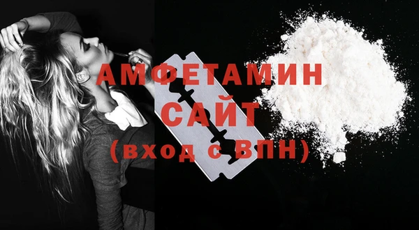 мет Алексин