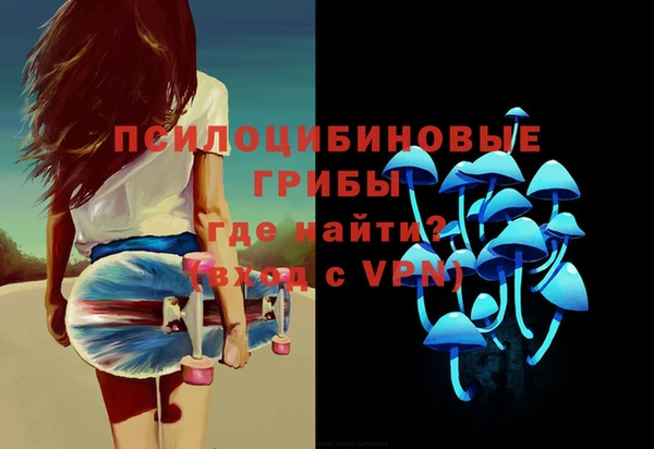 мет Алексин