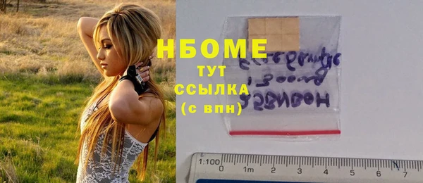 мет Алексин