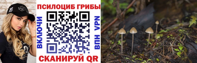 mega ONION Далматово Псилоцибиновые грибы ЛСД закладка